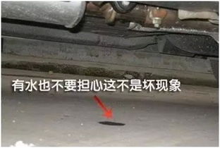汽车刹车水多少升